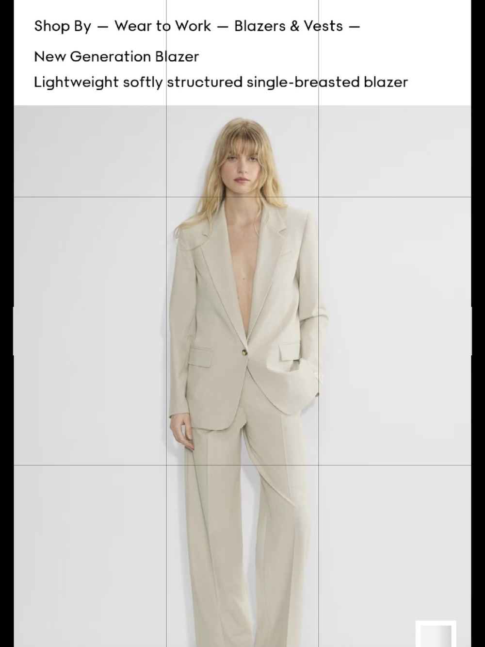 NWOT Aritzia Generation Blazor Heather Matte Pearl - Size 2/4